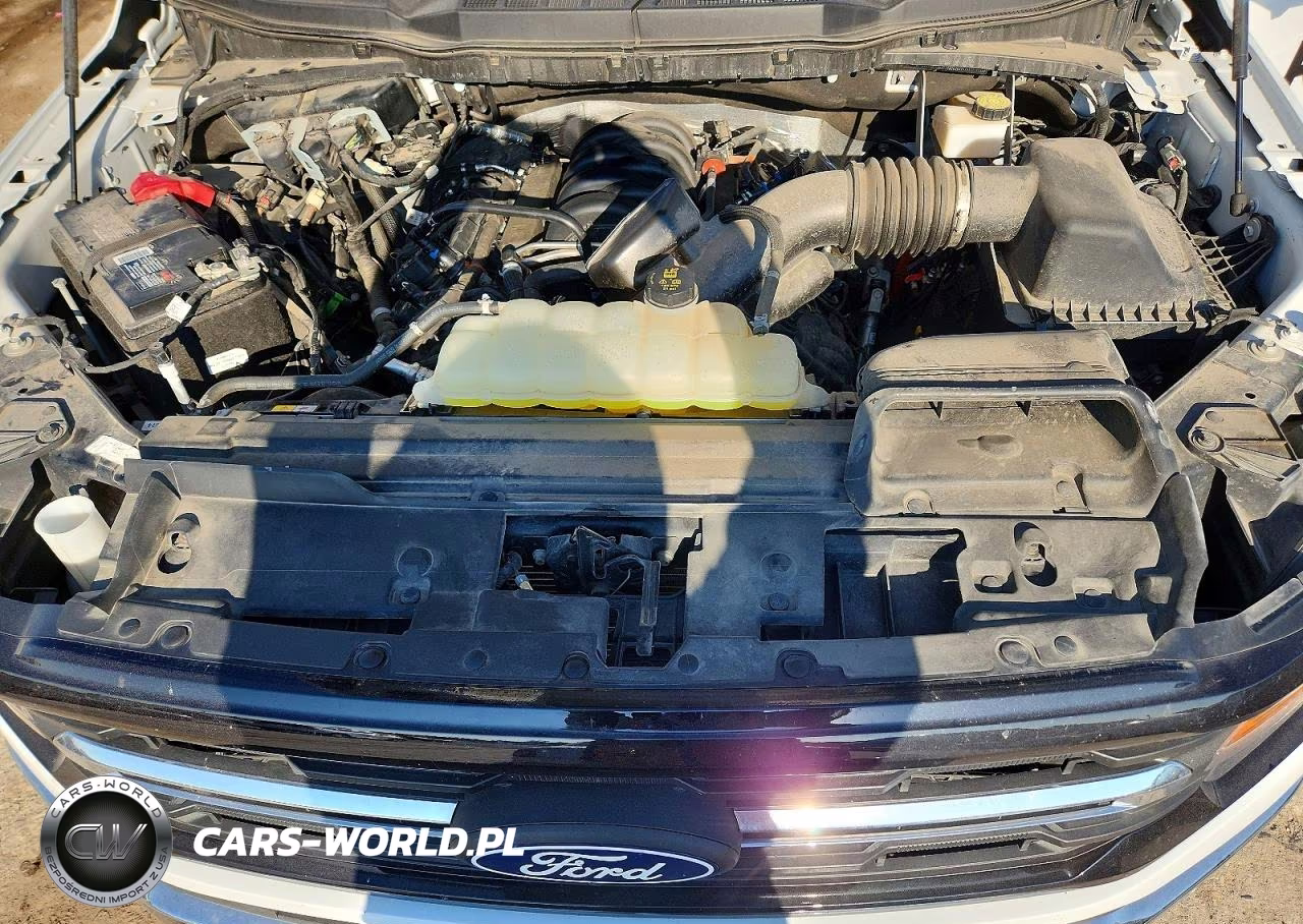2024 Ford F150 Xlt VIN:1FTFW3L51RKE94338 - 11