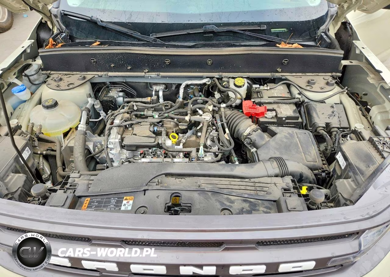 2024 Ford Bronco Sport Big Bend VIN:3FMCR9B69RRF66823 - 12