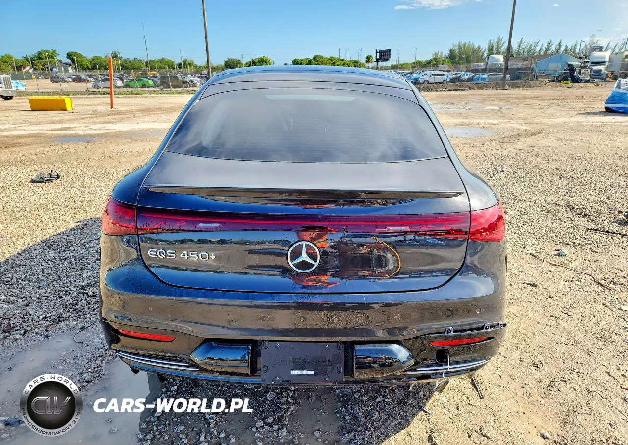 2023 Mercedes-Benz Eqs Sedan 450+ VIN:W1KCG2DB6PA031702 - 6