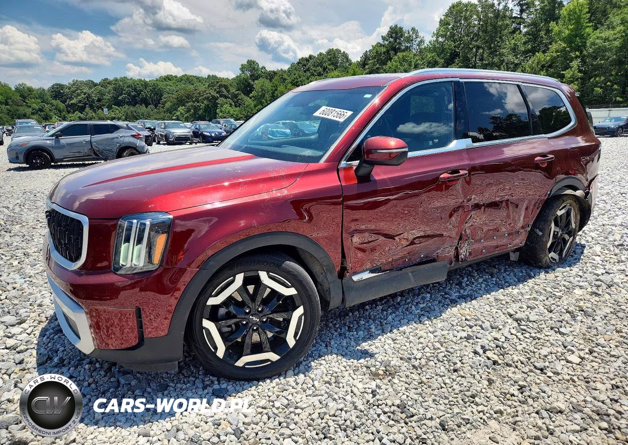 2023 Kia Telluride Ex VIN:5XYP3DGC8PG354057 - 1