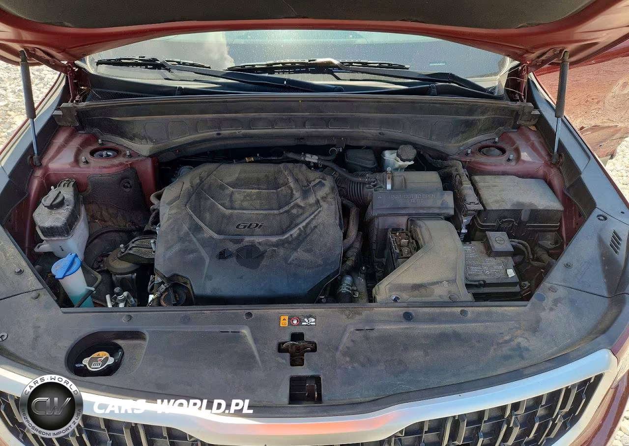 2023 Kia Telluride Ex VIN:5XYP3DGC8PG354057 - 11