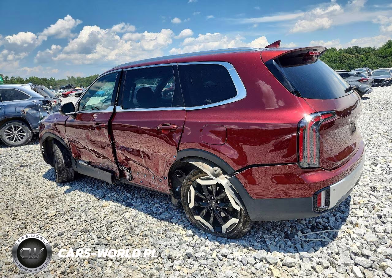 2023 Kia Telluride Ex VIN:5XYP3DGC8PG354057 - 2