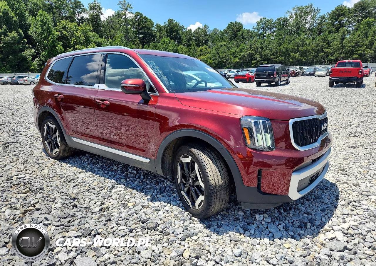2023 Kia Telluride Ex VIN:5XYP3DGC8PG354057 - 4