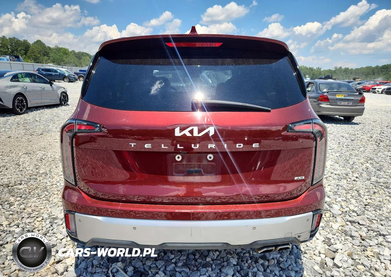 2023 Kia Telluride Ex VIN:5XYP3DGC8PG354057 - 6