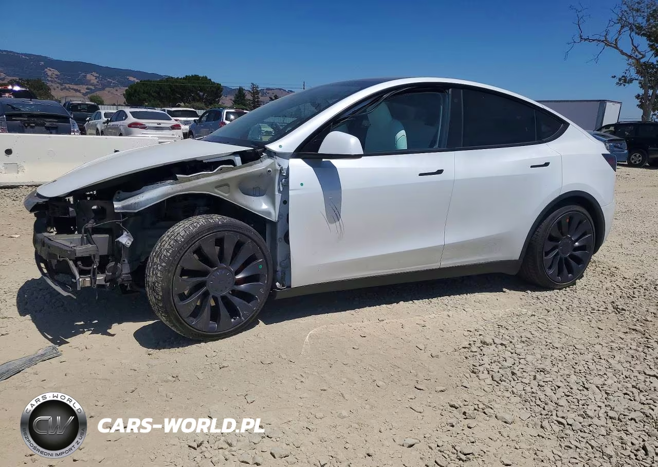 2020 Tesla Model Y
