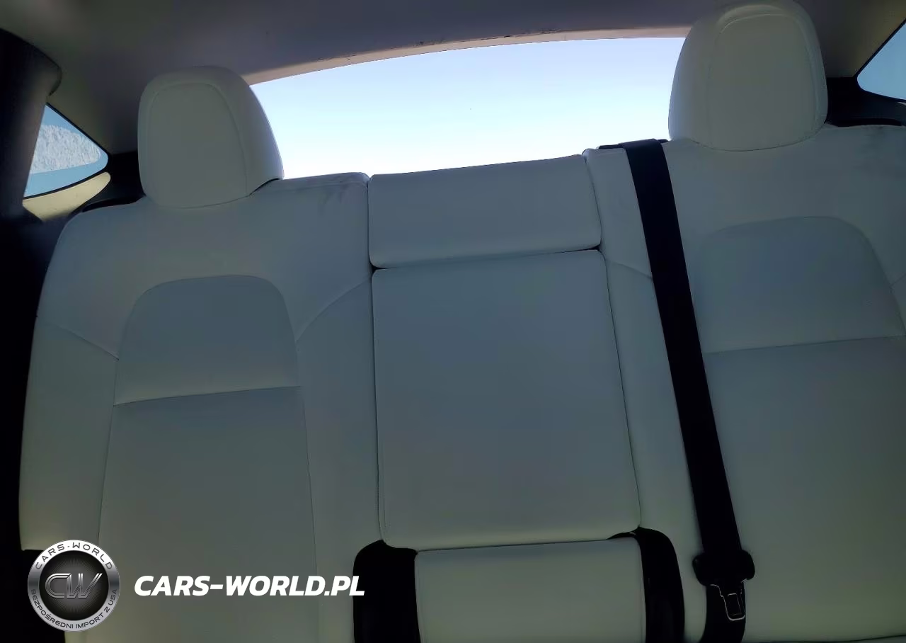 2020 Tesla Model Y VIN:5YJYGDEFXLF018806 - 10