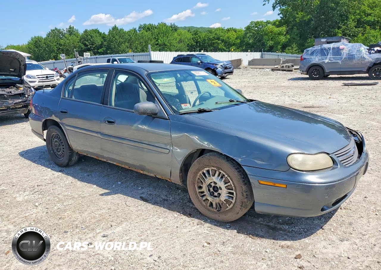 2005 Chevrolet Classic VIN:1G1ND52F25M221715 - 4