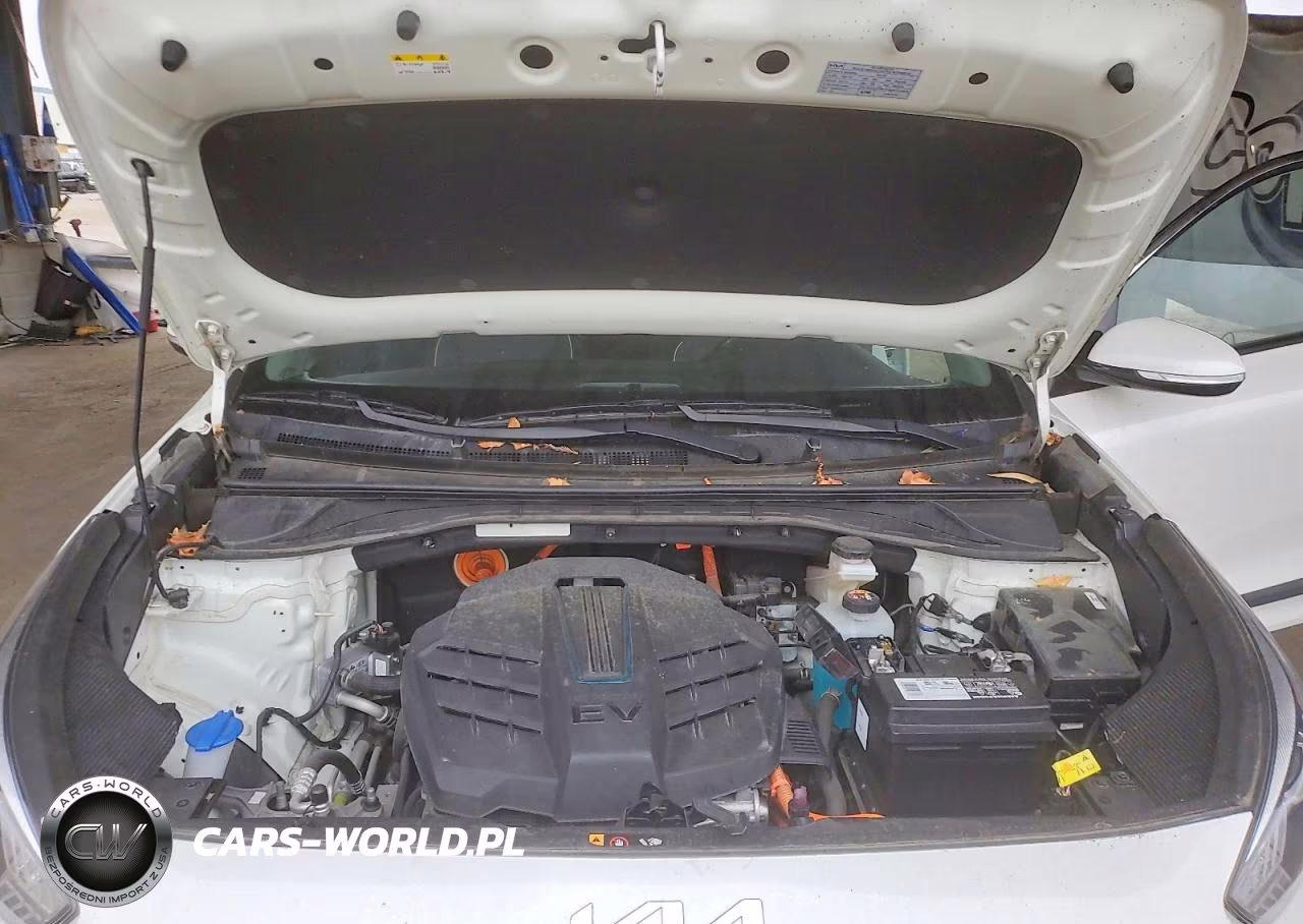 2022 Kia Niro Ev Ex VIN:KNDCC3LG9N5142050 - 11