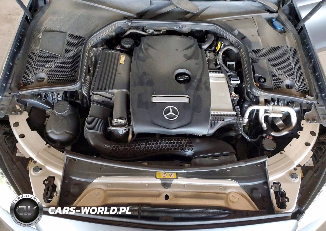 2017 Mercedes-Benz C 300 VIN:55SWF4JB7HU182114 - 11
