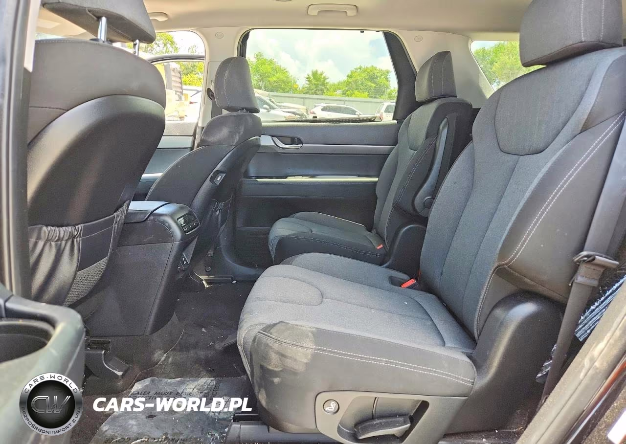 2020 Hyundai Palisade Sel VIN:KM8R34HE2LU094025 - 10