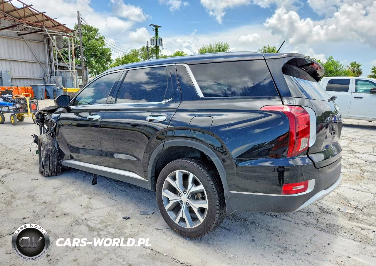 2020 Hyundai Palisade Sel VIN:KM8R34HE2LU094025 - 2