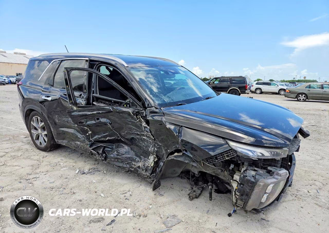 2020 Hyundai Palisade Sel VIN:KM8R34HE2LU094025 - 4