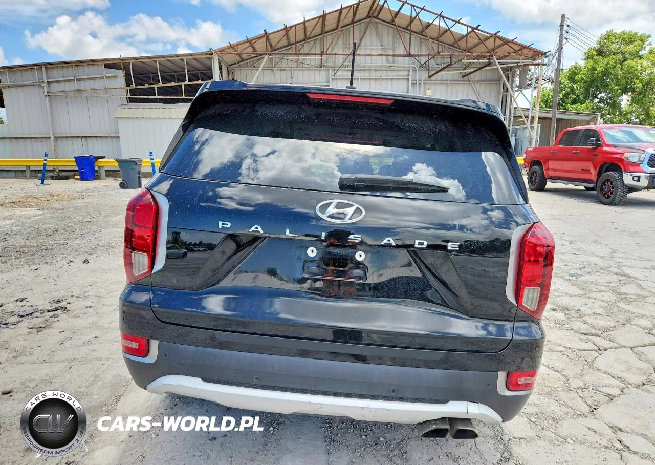 2020 Hyundai Palisade Sel VIN:KM8R34HE2LU094025 - 6