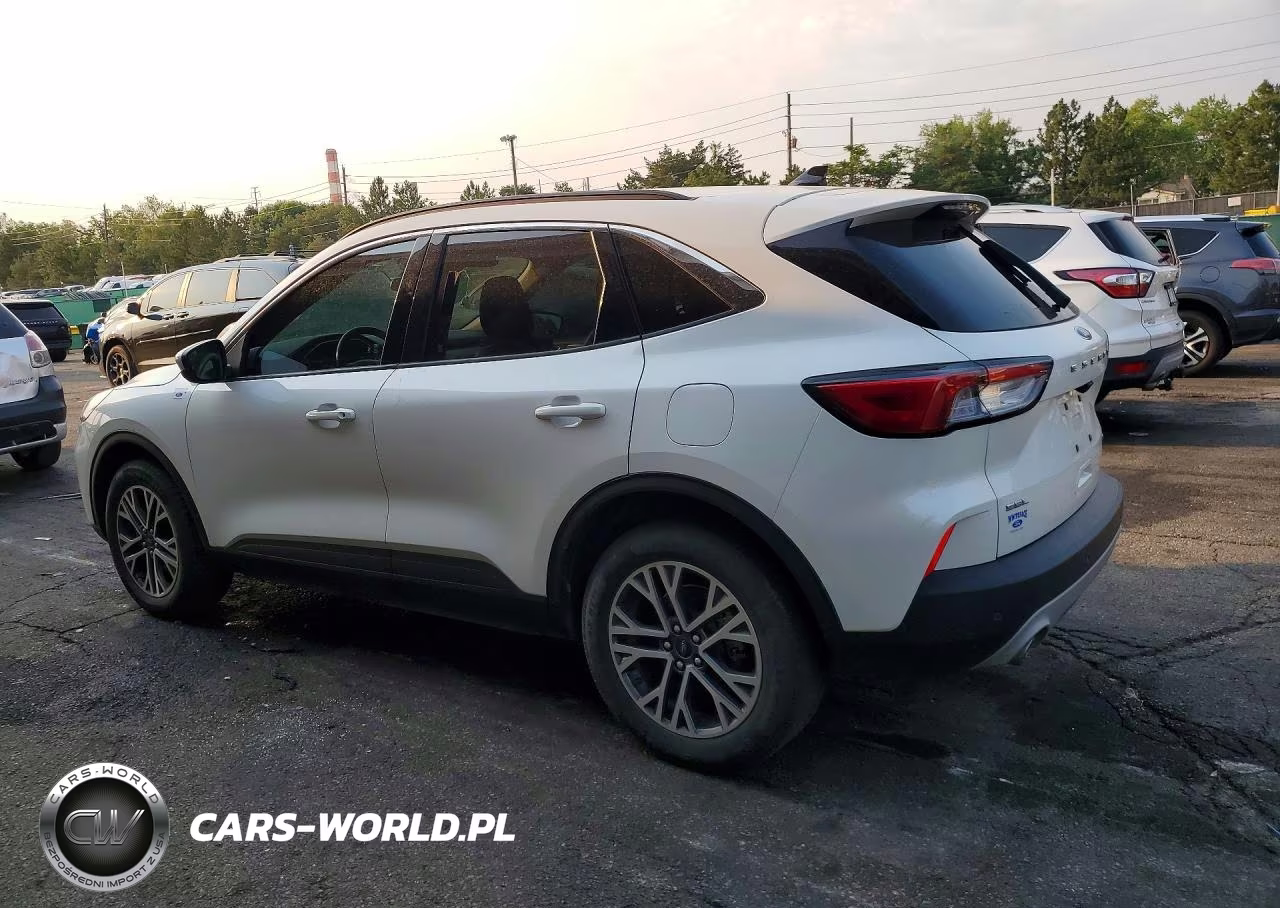 2020 Ford Escape Sel VIN:1FMCU9H63LUA76187 - 2
