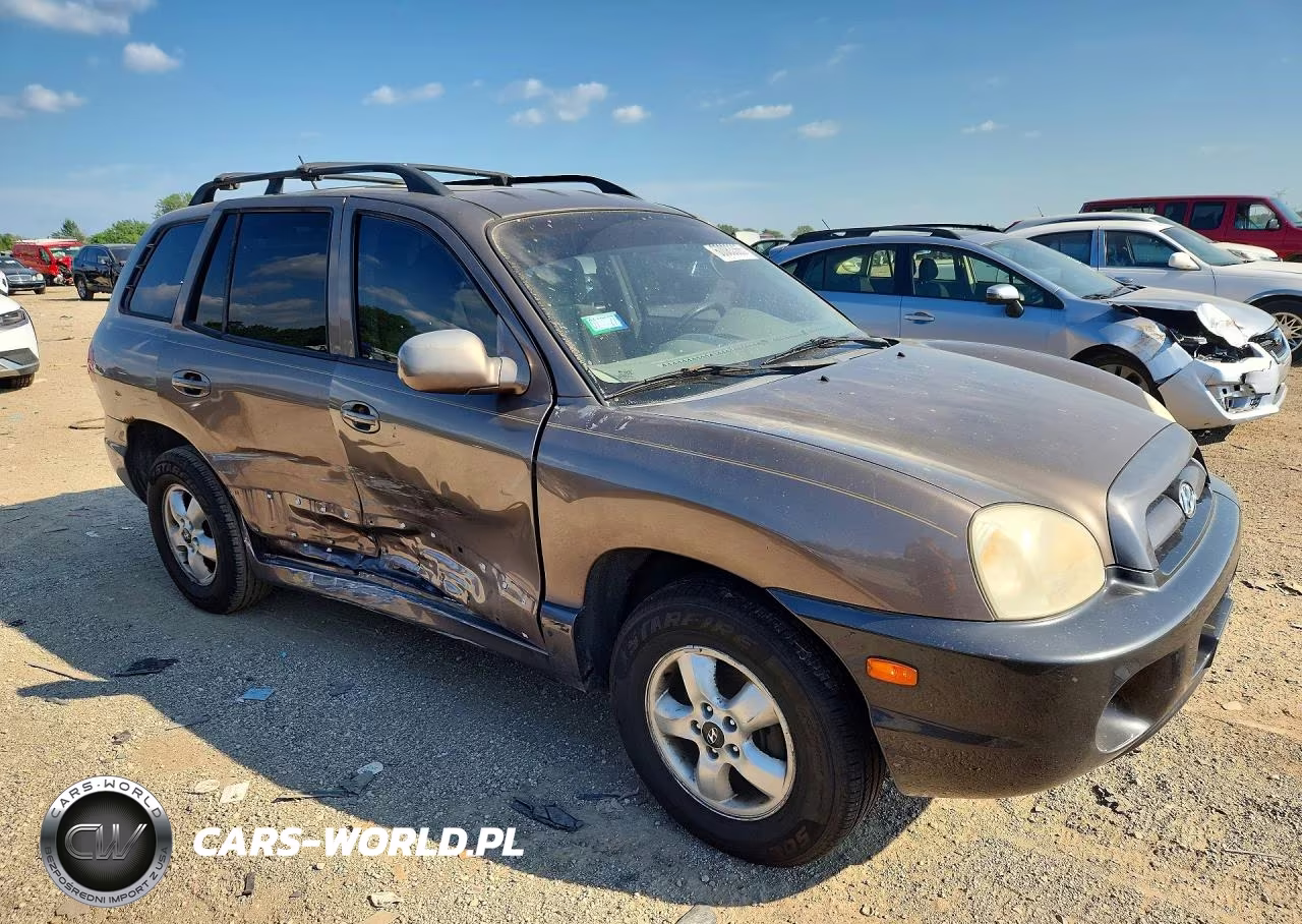 2005 Hyundai Santa Fe Gls-Lx VIN:KM8SC13E05U962226 - 4