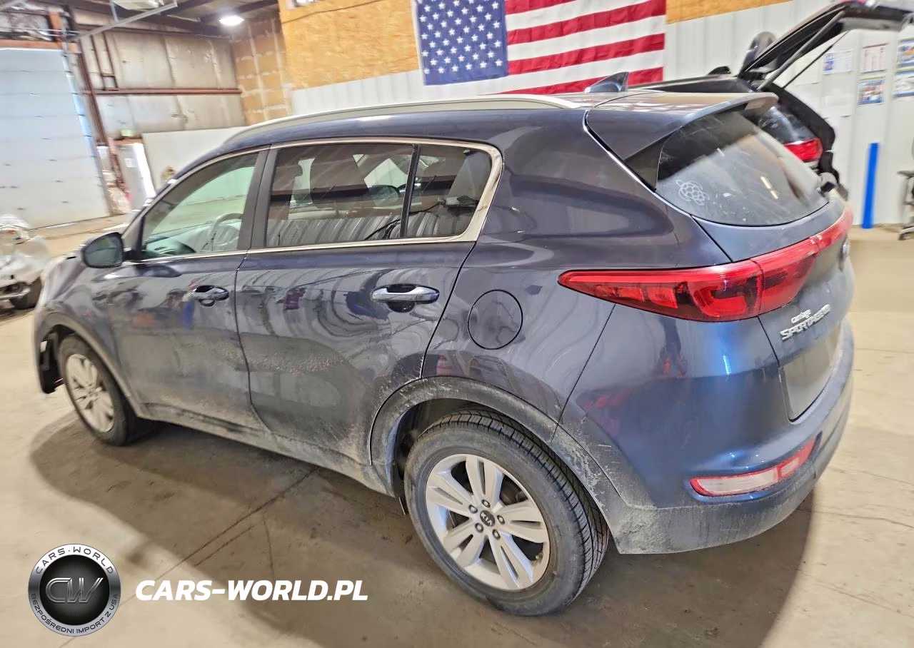 2017 Kia Sportage Lx VIN:KNDPM3AC0H7244554 - 2