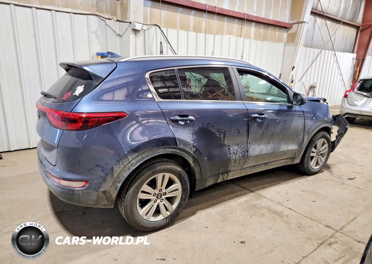 2017 Kia Sportage Lx VIN:KNDPM3AC0H7244554 - 3