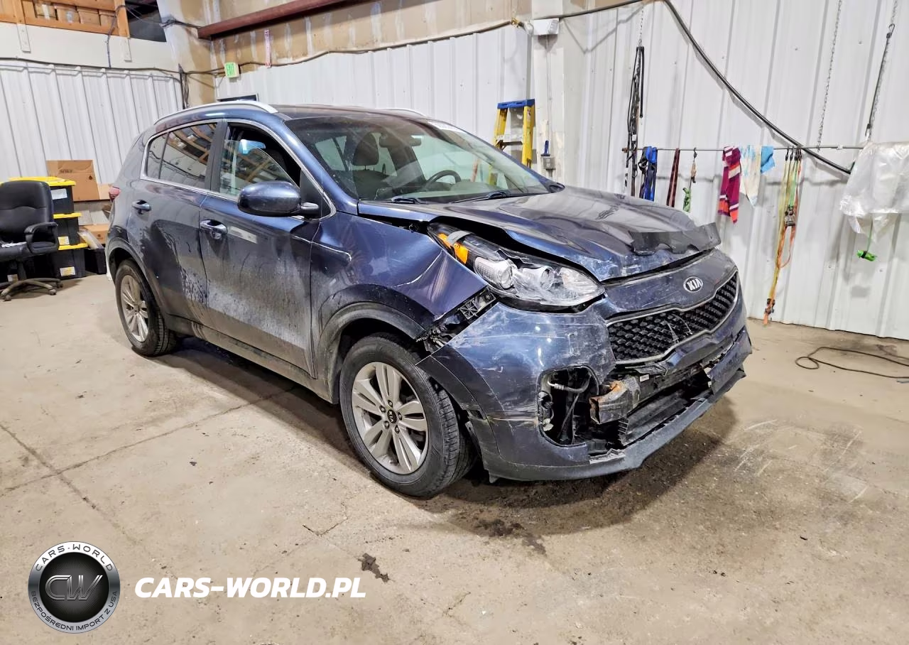2017 Kia Sportage Lx VIN:KNDPM3AC0H7244554 - 4