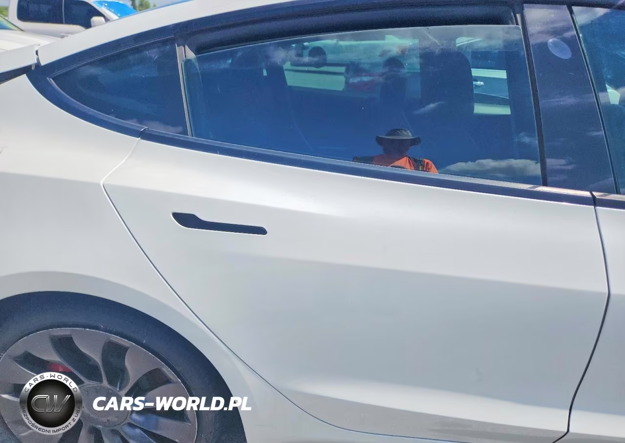 2021 Tesla Model 3 VIN:5YJ3E1ECXMF088456 - 10