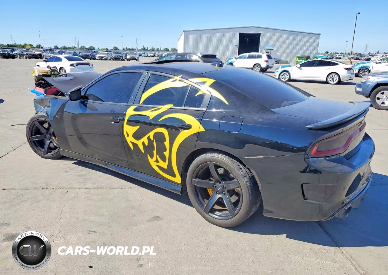 2018 Dodge Charger Srt Hellcat VIN:2C3CDXL90JH220423 - 2