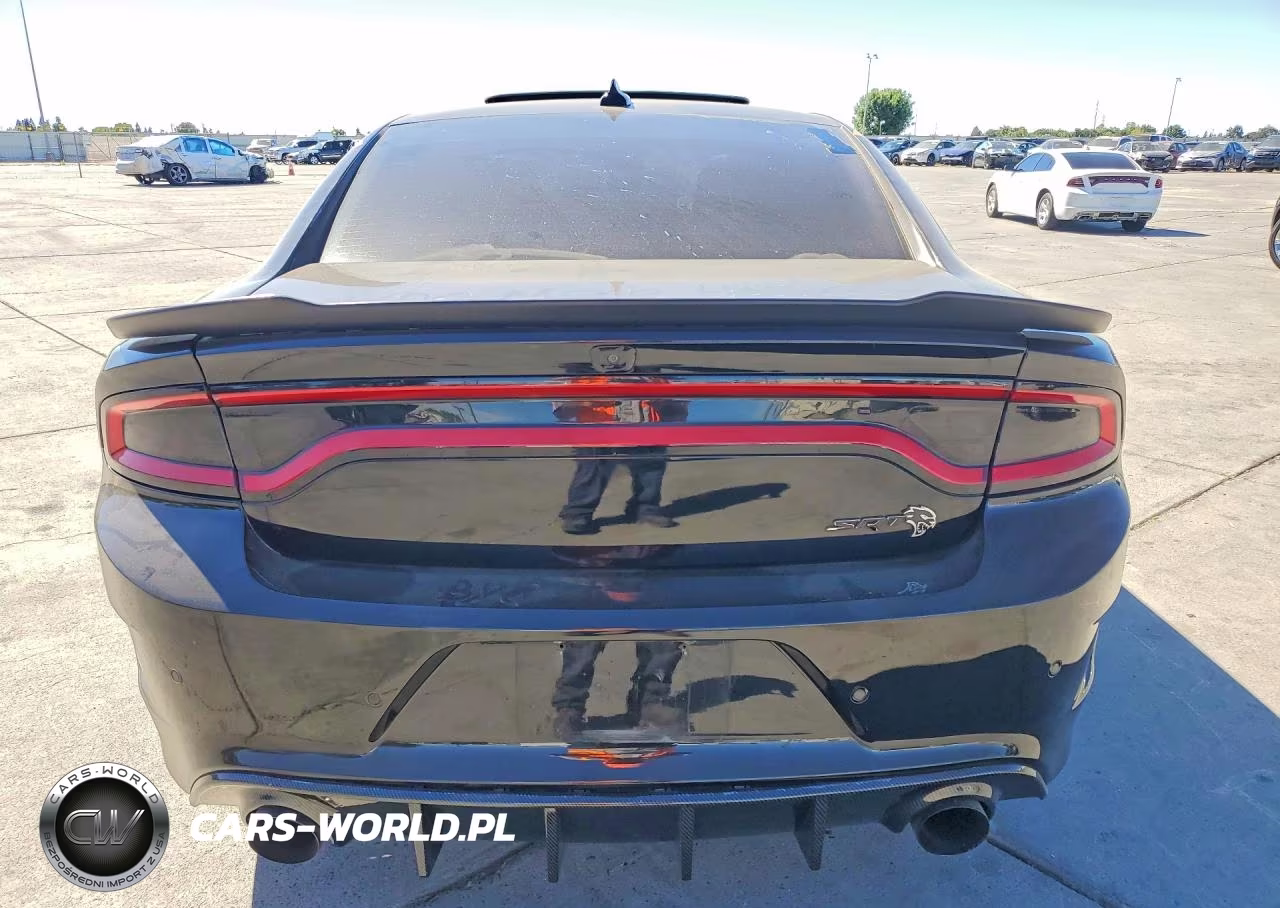 2018 Dodge Charger Srt Hellcat VIN:2C3CDXL90JH220423 - 6