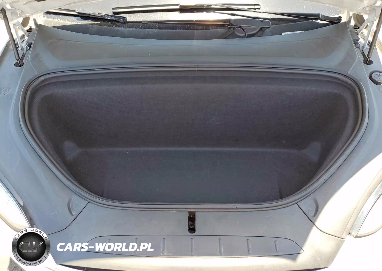 2019 Tesla Model X VIN:5YJXCAE25KF152947 - 12
