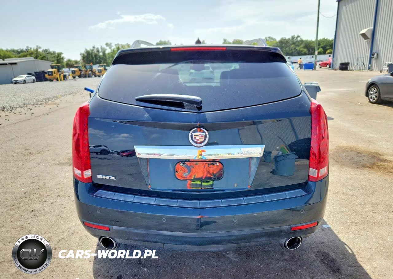 2010 Cadillac Srx Luxury Collection VIN:3GYFNDEY5AS580478 - 6