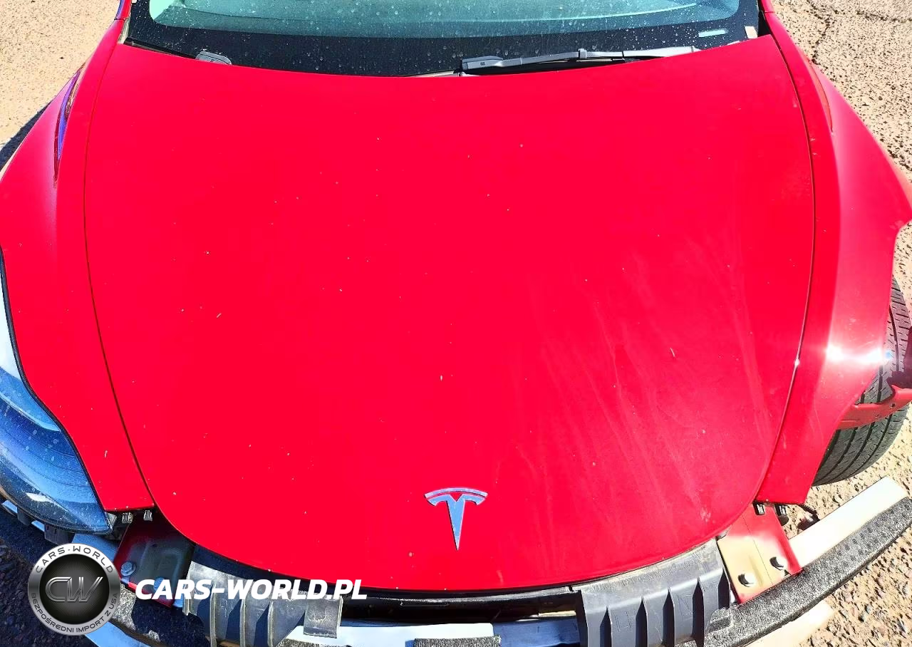 2022 Tesla Model 3 VIN:5YJ3E1EA1NF303934 - 11