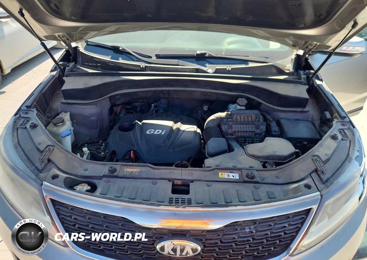 2014 Kia Sorento Lx VIN:5XYKT3A69EG425030 - 12