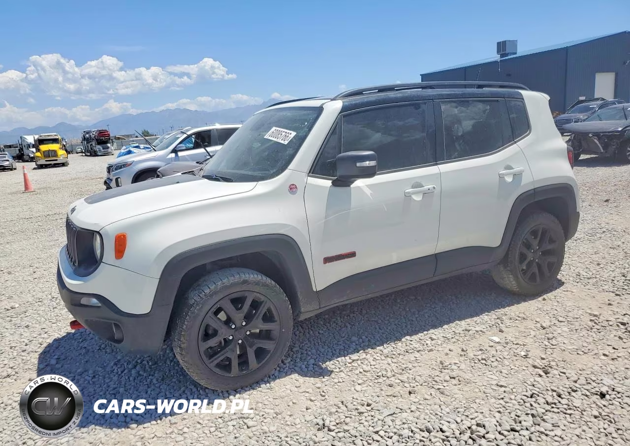 2019 Jeep Renegade Trailhawk – zdjęcie 1 z 12