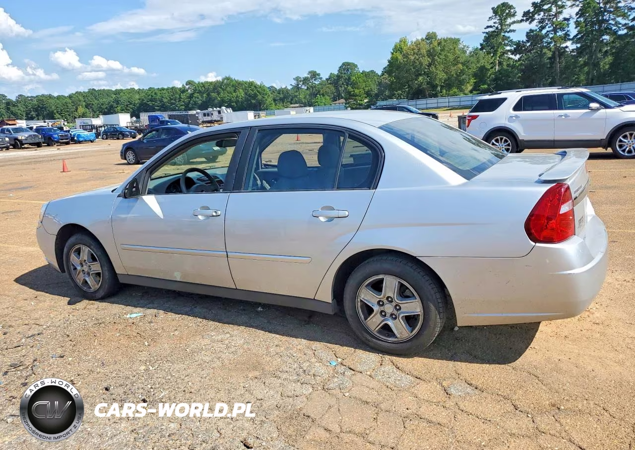 2005 Chevrolet Malibu Ls VIN:1G1ZT528X5F303864 - 2