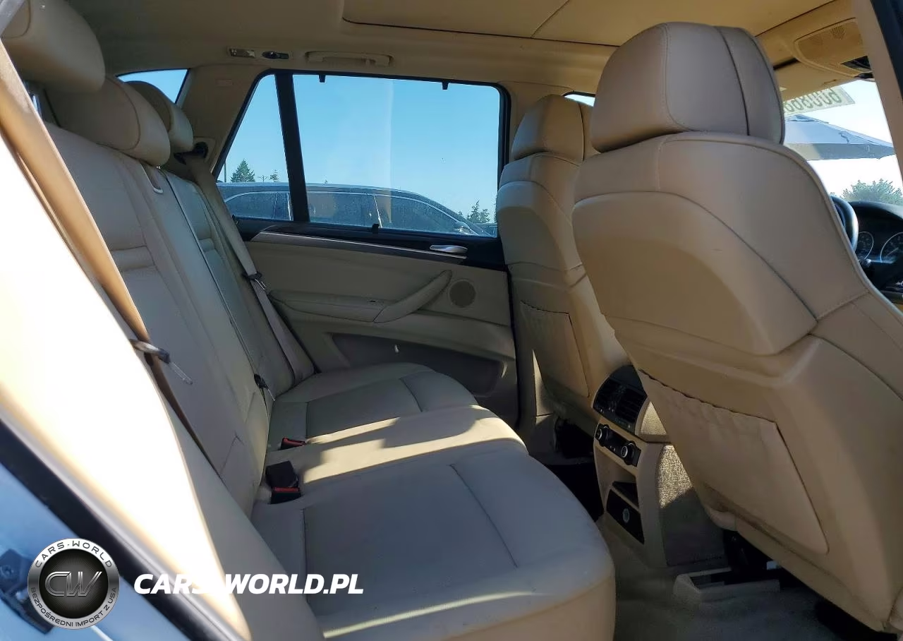 2010 BMW X5 xDrive30I VIN:5UXFE4C58AL381833 - 11