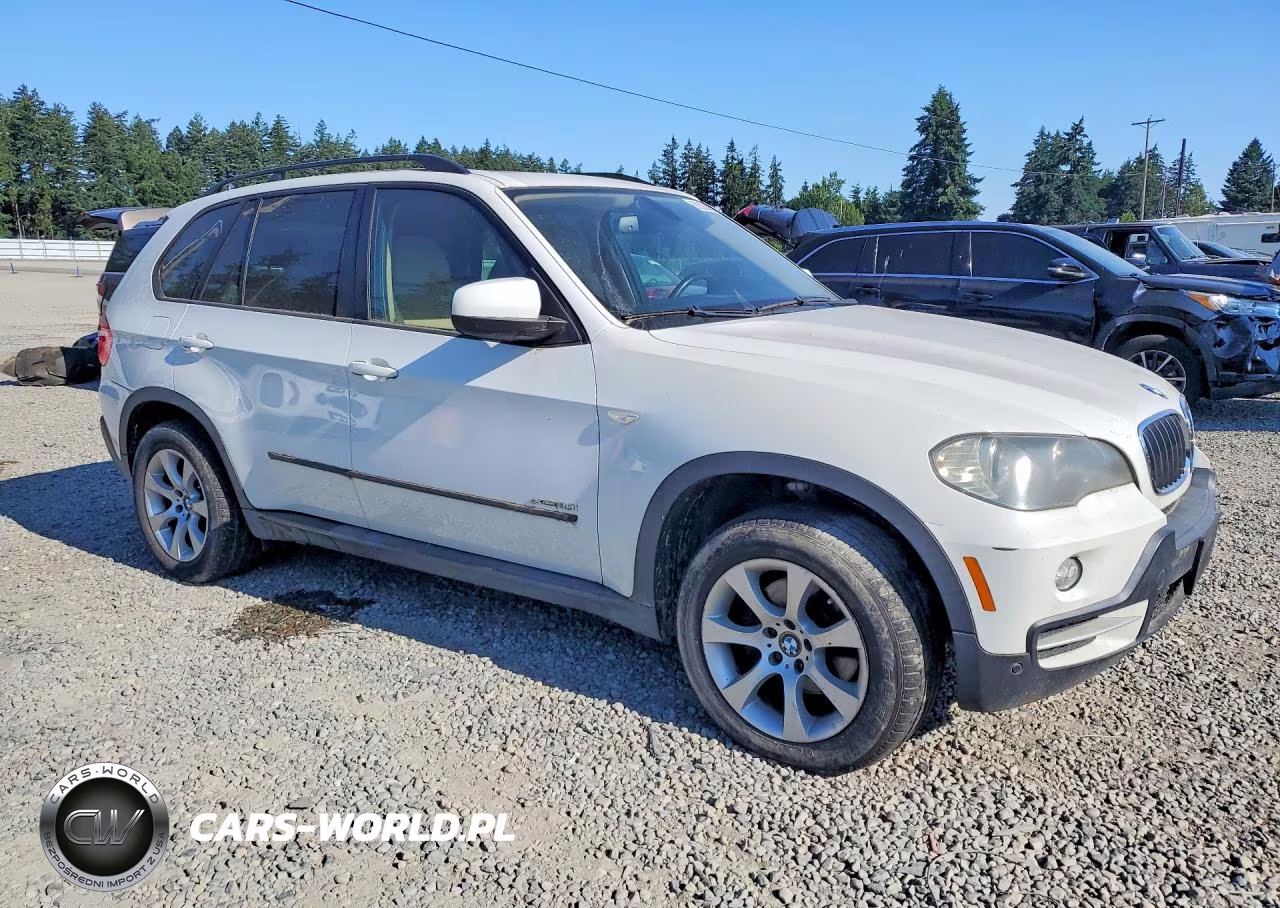 2010 BMW X5 xDrive30I VIN:5UXFE4C58AL381833 - 4