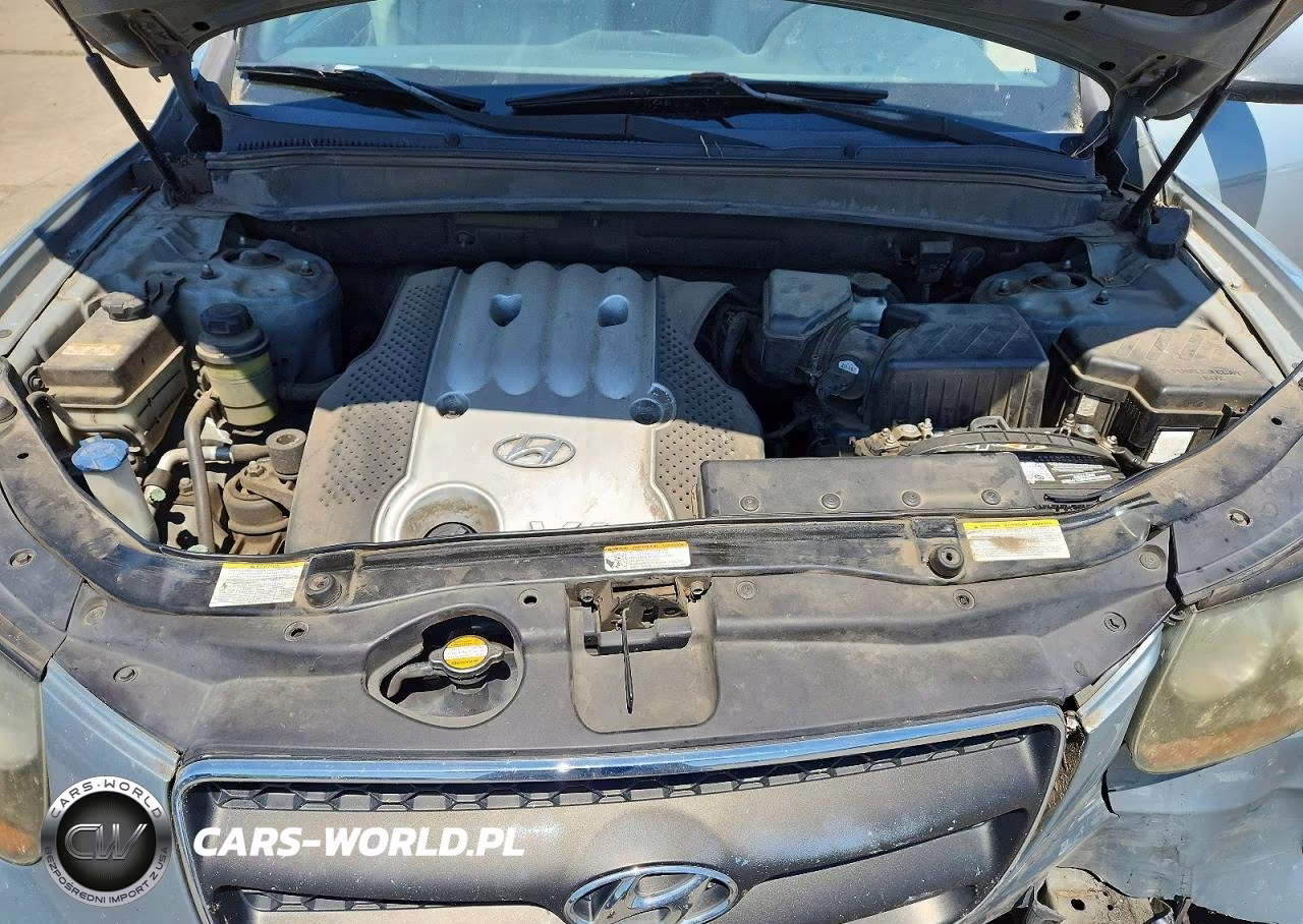 2007 Hyundai Santa Fe Gls VIN:5NMSG13D87H041446 - 11