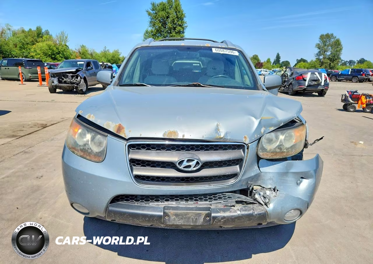 2007 Hyundai Santa Fe Gls VIN:5NMSG13D87H041446 - 5