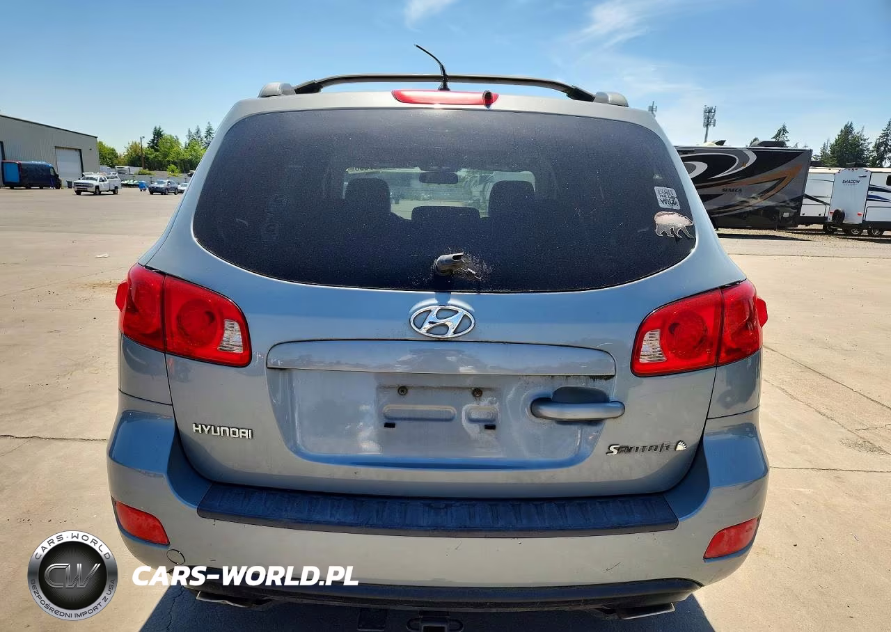 2007 Hyundai Santa Fe Gls VIN:5NMSG13D87H041446 - 6