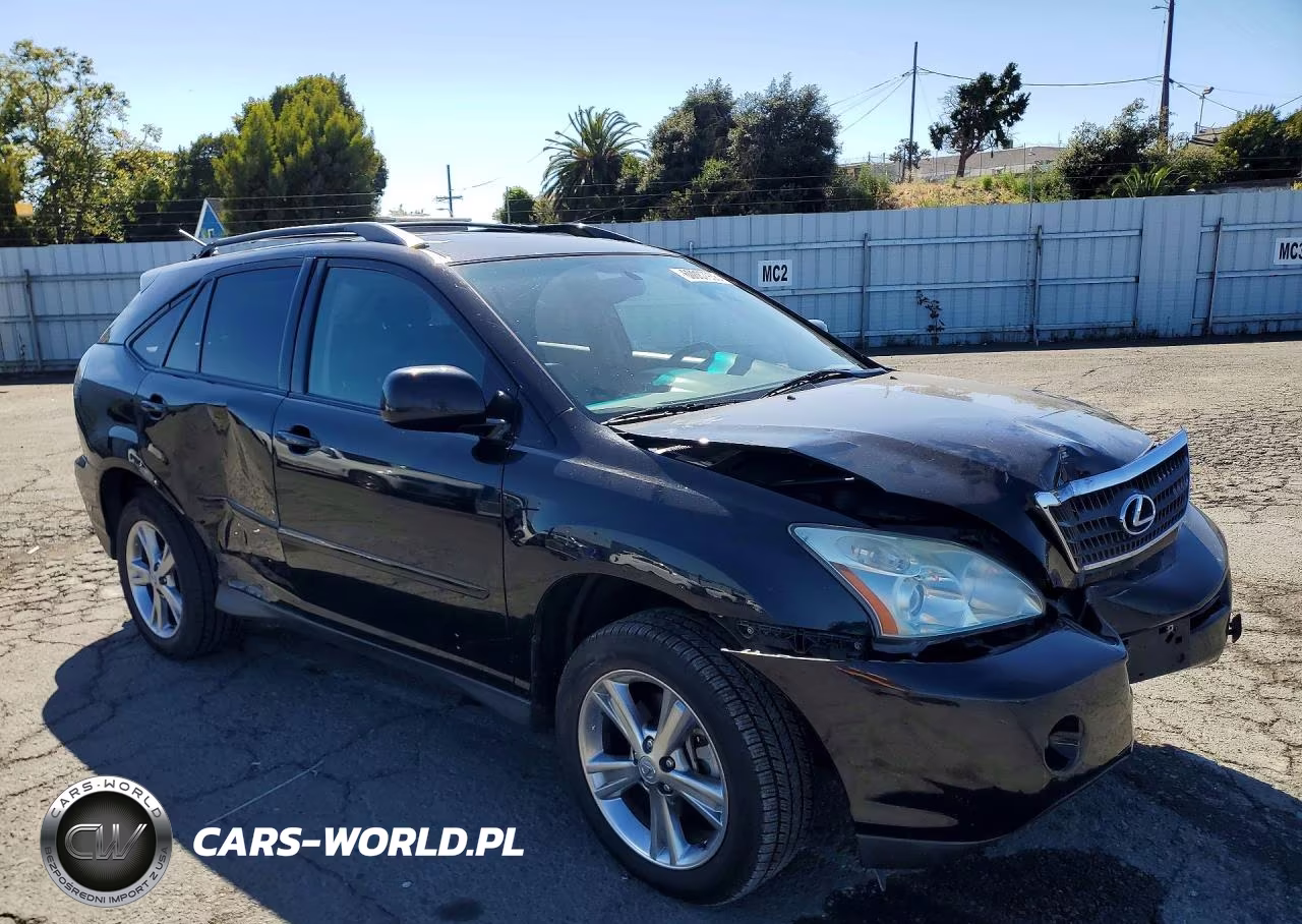 2006 Lexus Rx 400 VIN:JTJHW31U160038699 - 4