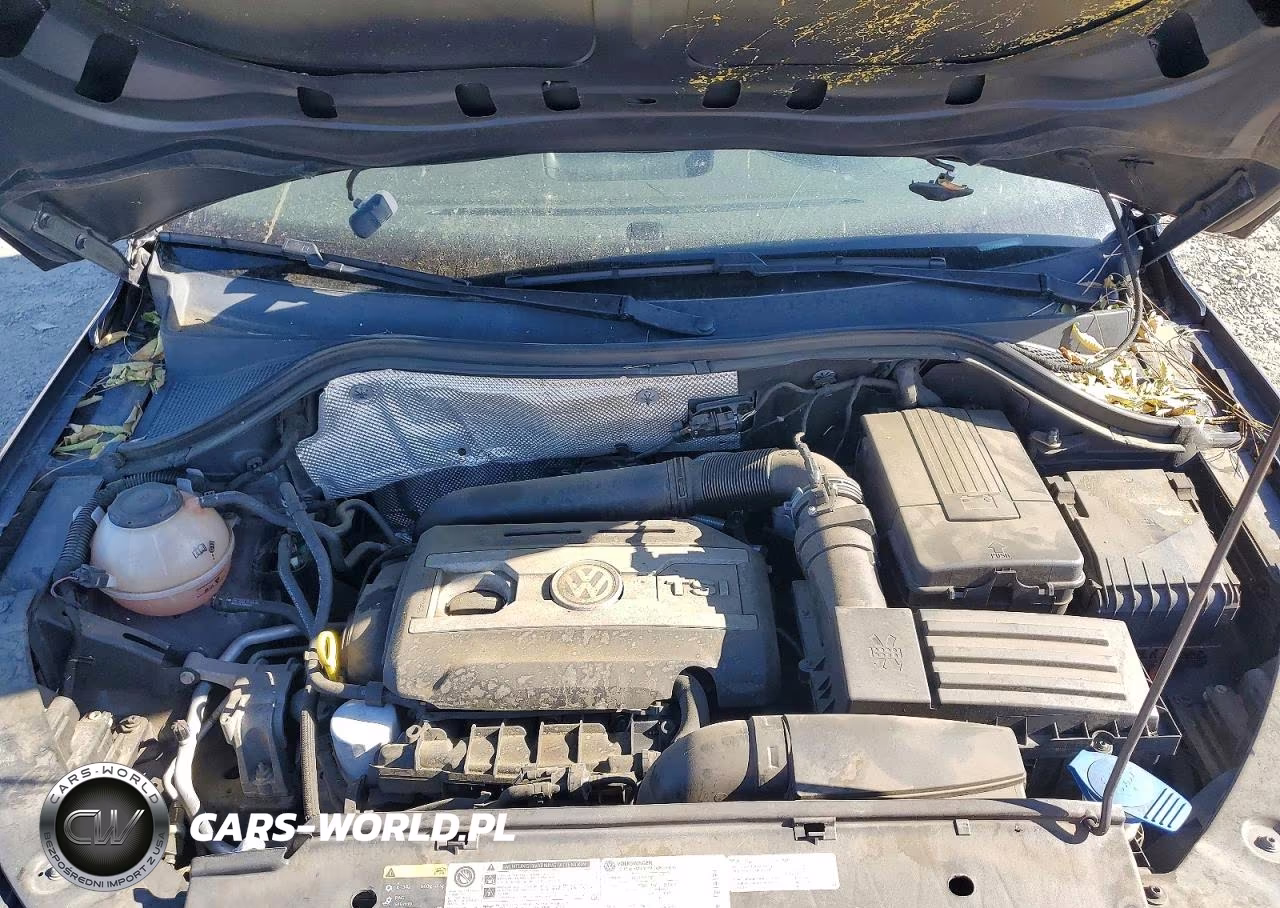 2017 Volkswagen Tiguan S VIN:WVGAV7AX4HK044069 - 11