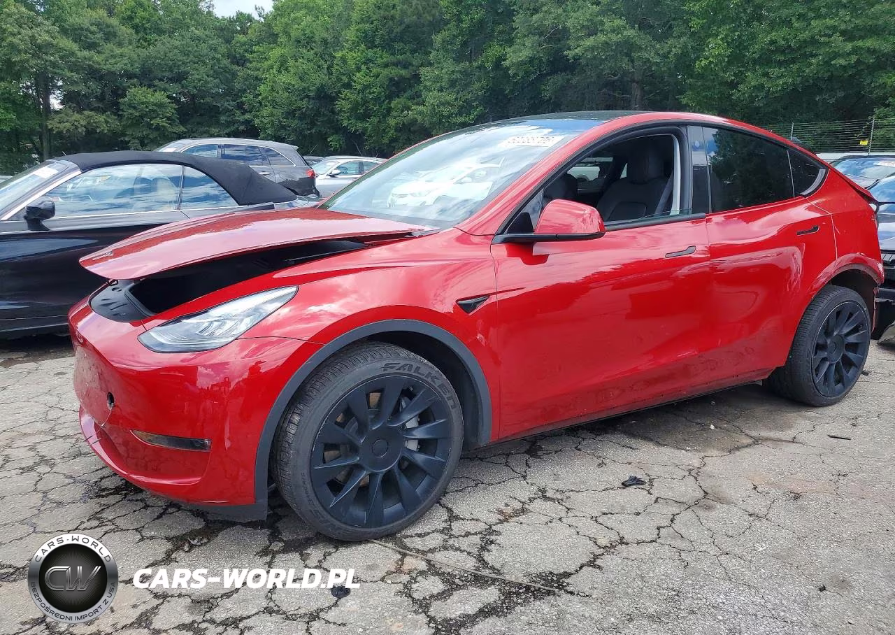 2023 Tesla Model Y VIN:7SAYGDEEXPA041208 - 1
