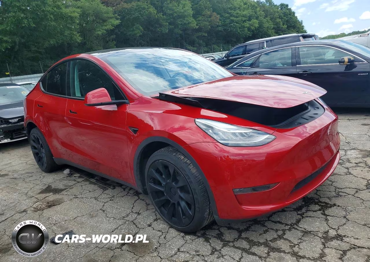 2023 Tesla Model Y VIN:7SAYGDEEXPA041208 - 4