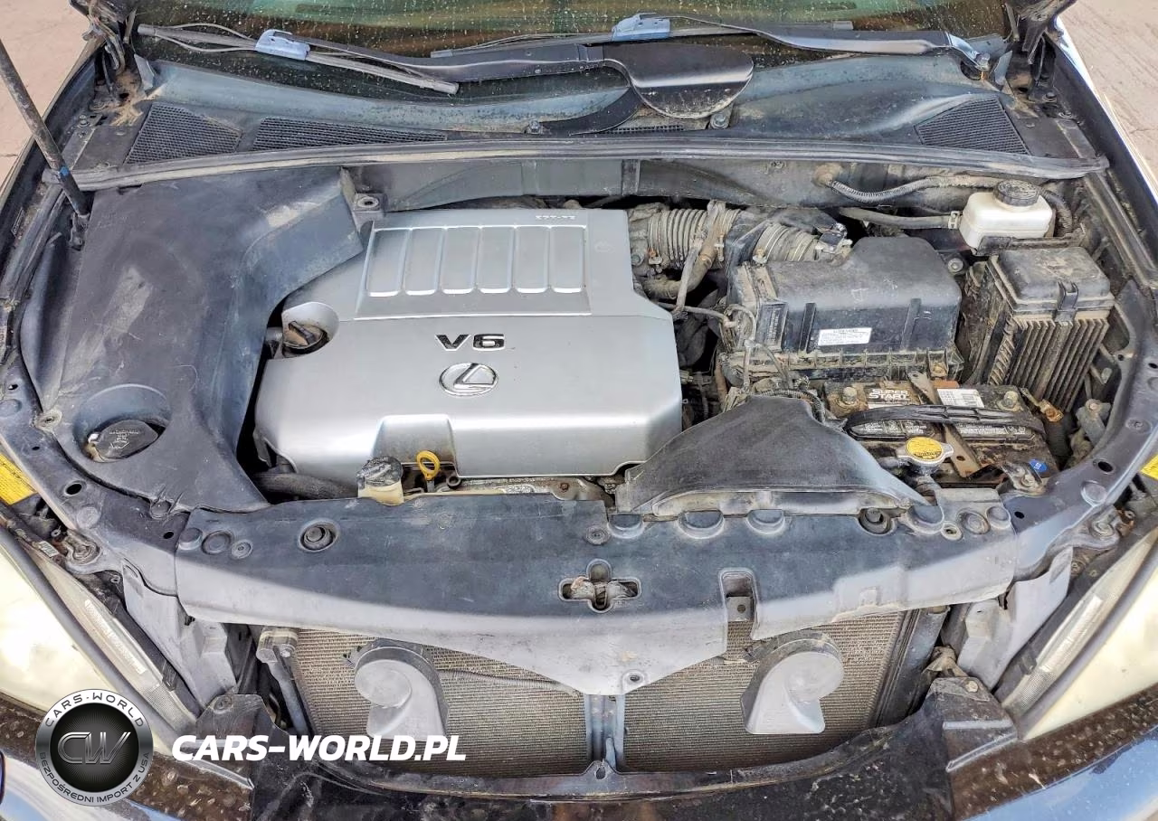 2007 Lexus Rx 350 VIN:2T2HK31U87C045697 - 12