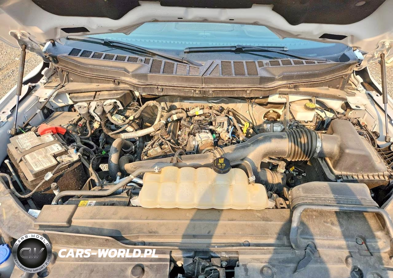 2023 Ford F150 Supercrew VIN:1FTEW1EP0PFD33922 - 11