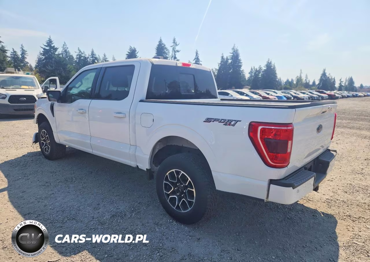 2023 Ford F150 Supercrew VIN:1FTEW1EP0PFD33922 - 2