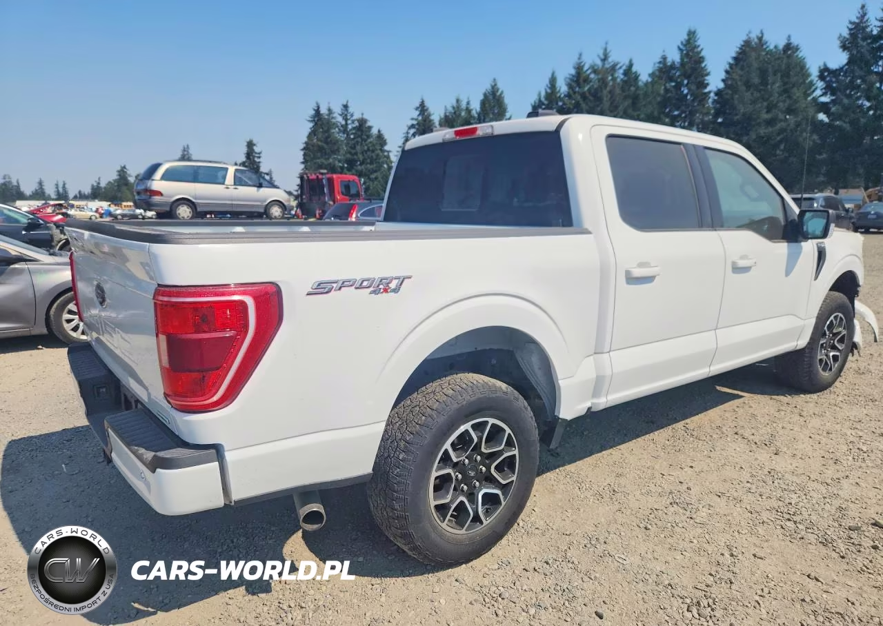 2023 Ford F150 Supercrew VIN:1FTEW1EP0PFD33922 - 3