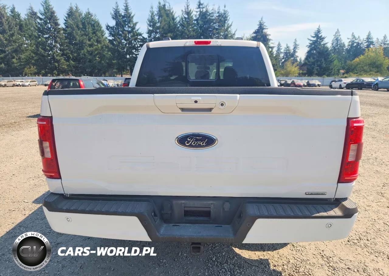 2023 Ford F150 Supercrew VIN:1FTEW1EP0PFD33922 - 6