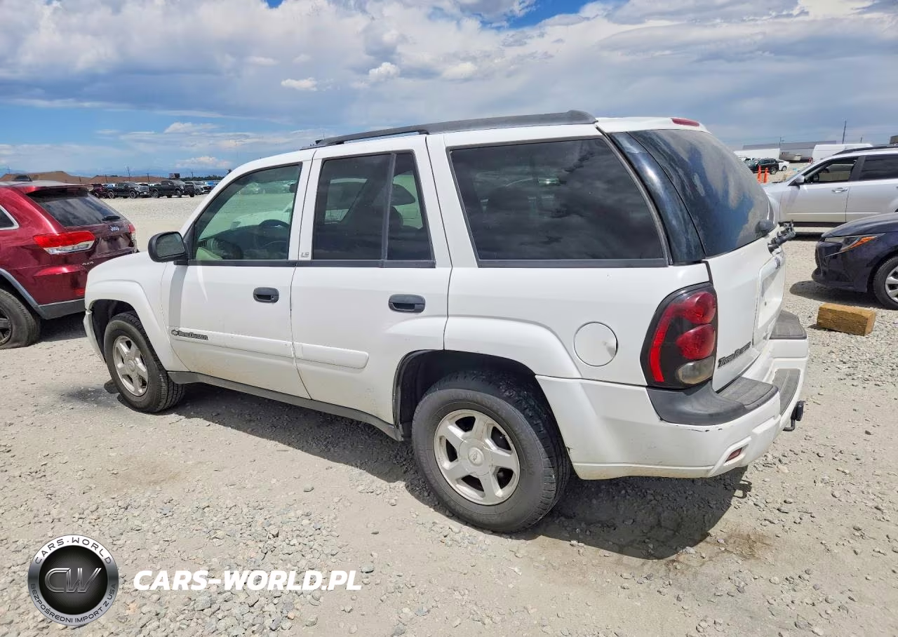 2002 Chevrolet Trailblazer VIN:1GNDT13S022438513 - 2