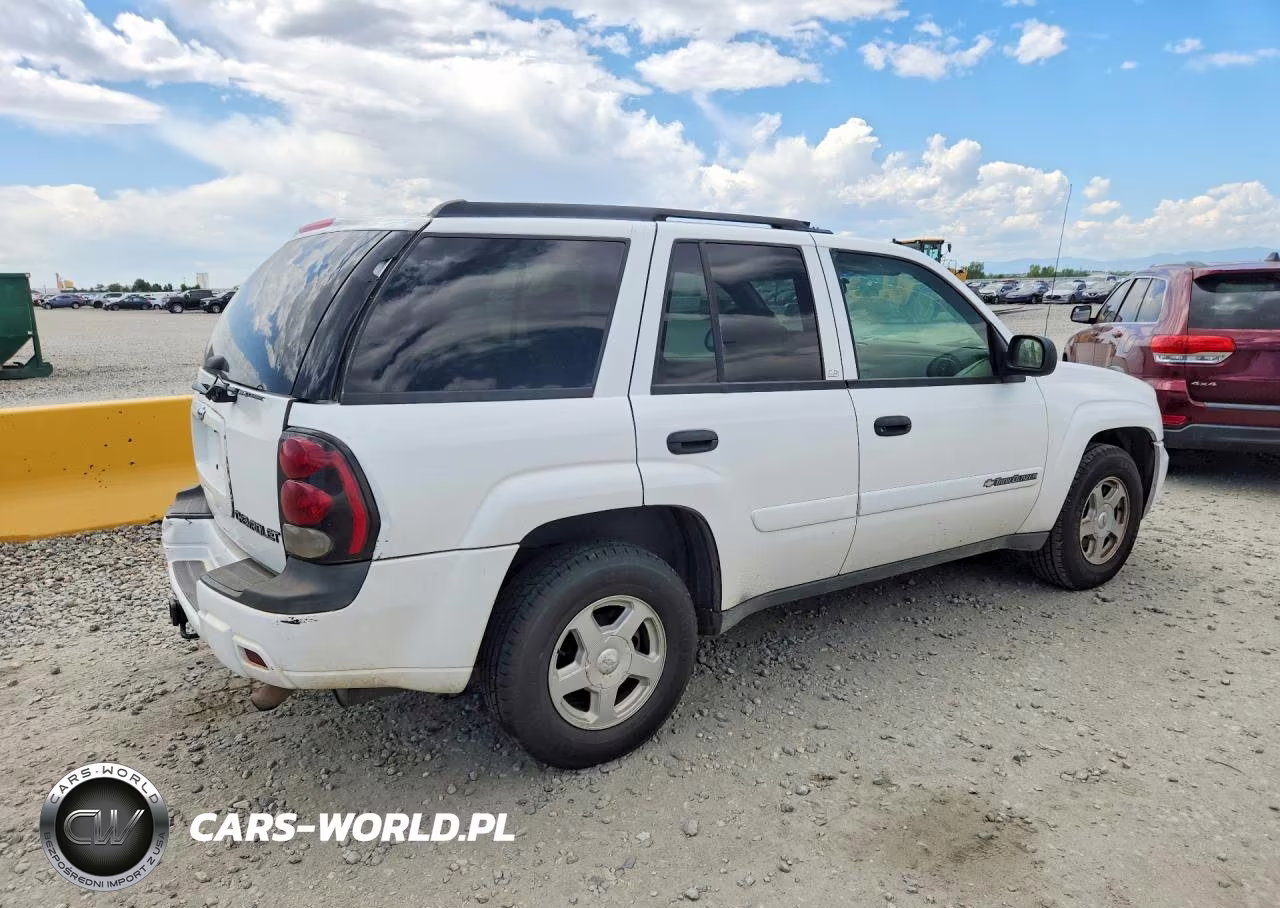 2002 Chevrolet Trailblazer VIN:1GNDT13S022438513 - 3