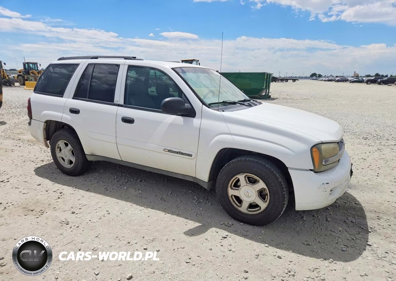 2002 Chevrolet Trailblazer VIN:1GNDT13S022438513 - 4
