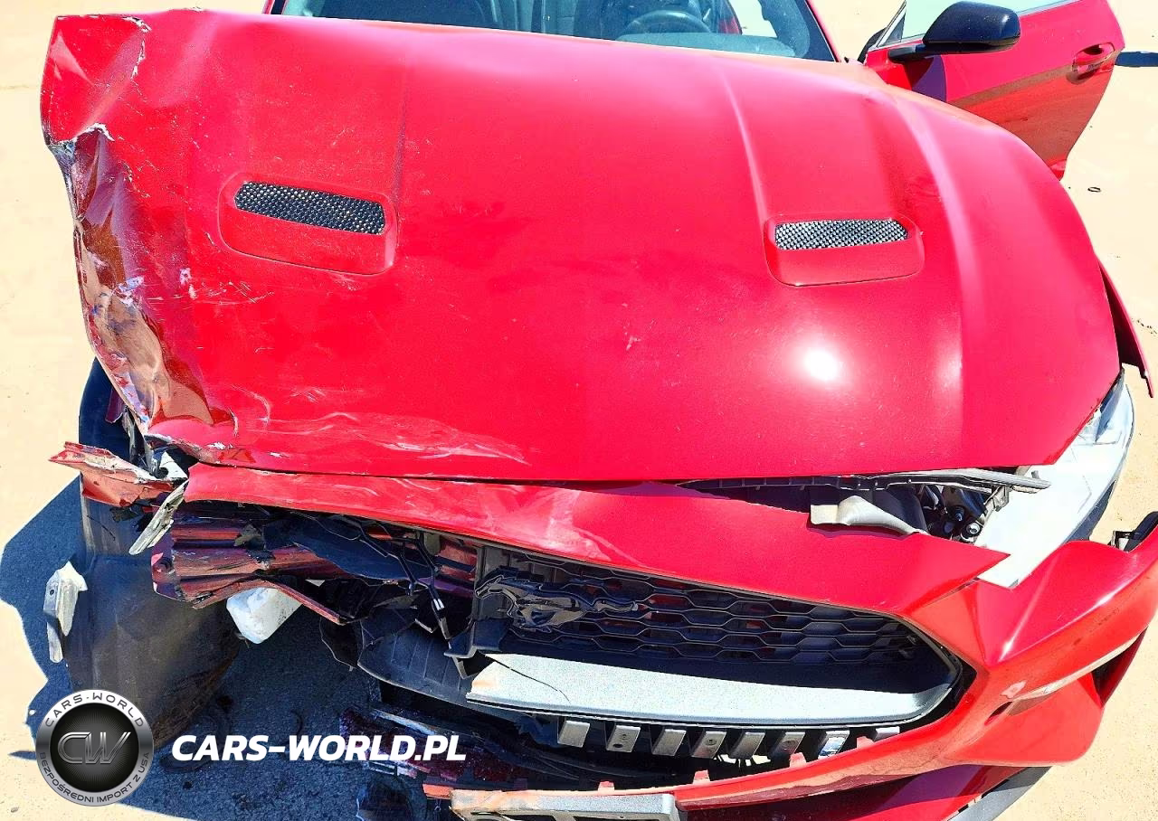 2021 Ford Mustang VIN:1FA6P8TH7M5126246 - 11