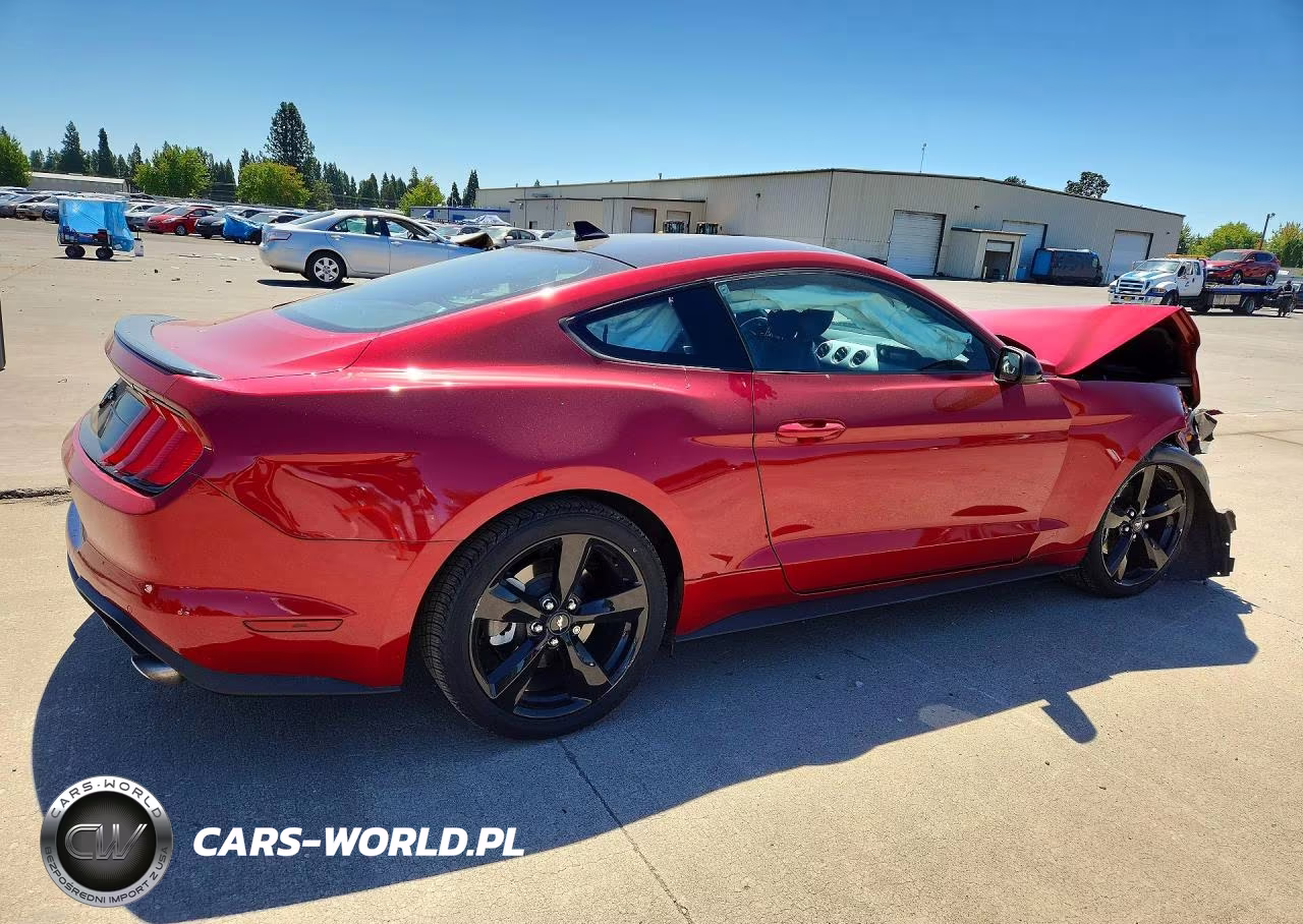 2021 Ford Mustang VIN:1FA6P8TH7M5126246 - 3